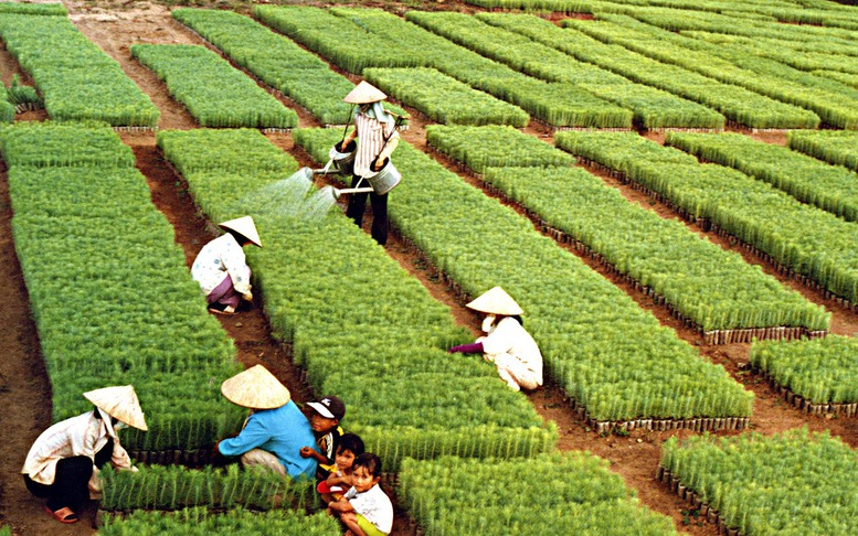 Ngành Nông nghiệp và Môi trường đặt mục tiêu xuất khẩu gần 74 tỷ USD năm 2026