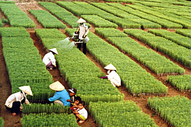 Ngành Nông nghiệp và Môi trường đặt mục tiêu xuất khẩu gần 74 tỷ USD năm 2026- Ảnh 1.