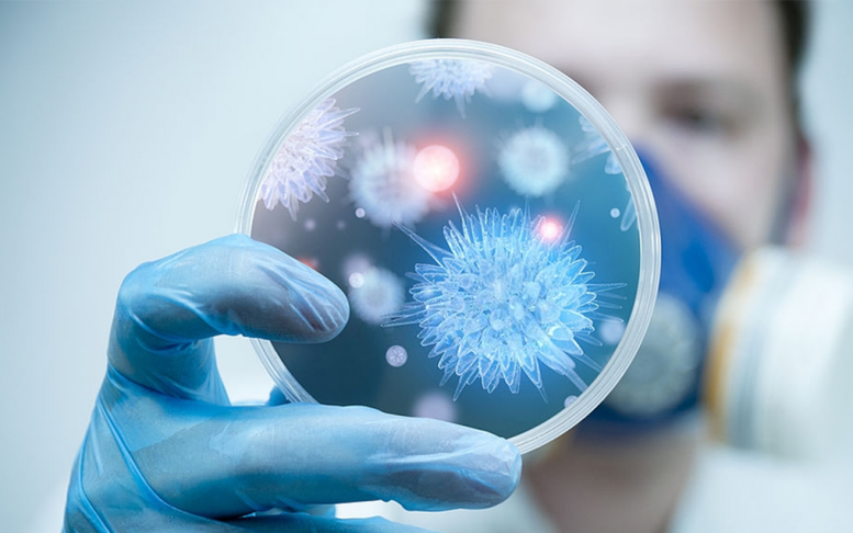 Bộ Y tế khuyến cáo người dân hạn chế đến khu vực có dịch bệnh do virus Nipah