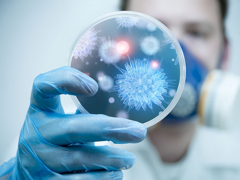 Bộ Y tế khuyến cáo người dân hạn chế đến khu vực có dịch bệnh do virus Nipah - Ảnh 1.