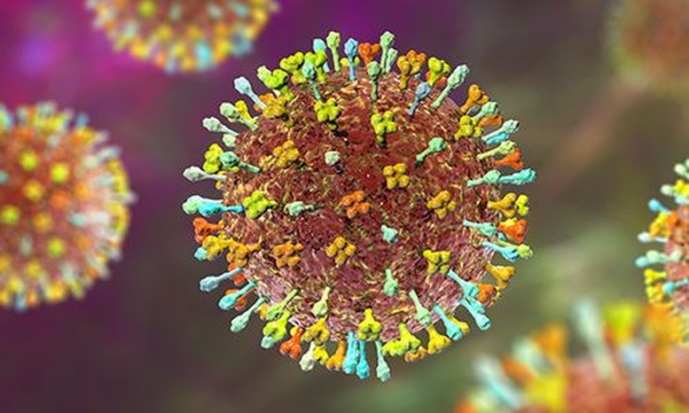 Ứng phó dịch virus Nipah: Nhiều sân bay lớn giám sát y tế như thời COVID-19- Ảnh 1.