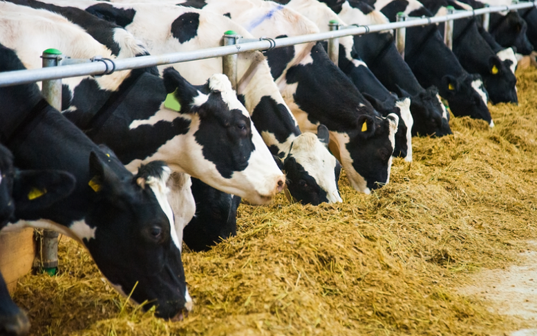 Chỉ đạo, điều hành của Chính phủ, Thủ tướng Chính phủ ngày 27/1/2026 (1)