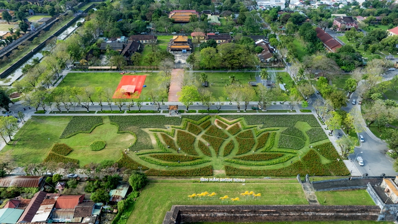 Đóa sen khổng lồ từ hơn 50.000 chậu hoa khoe sắc ở Kinh thành Huế- Ảnh 3. Đóa sen khổng lồ từ hơn 50.000 chậu hoa khoe sắc ở Kinh thành Huế- Ảnh 3.