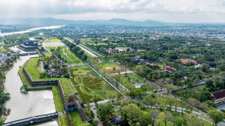 Đóa sen khổng lồ từ hơn 50.000 chậu hoa khoe sắc ở Kinh thành Huế- Ảnh 4. Đóa sen khổng lồ từ hơn 50.000 chậu hoa khoe sắc ở Kinh thành Huế- Ảnh 4.