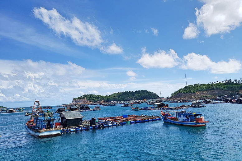 Chỉ đạo, điều hành của Chính phủ, Thủ tướng Chính phủ ngày 27/1/2026 (1)- Ảnh 3.