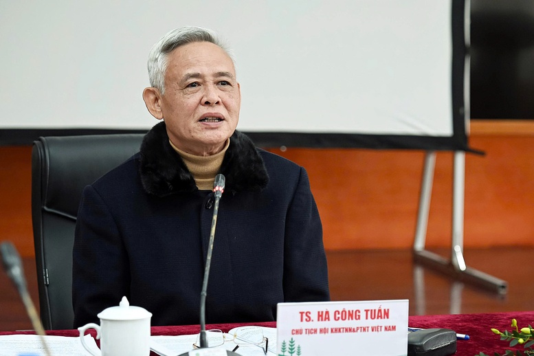 Chuỗi cung ứng sắn còn nhiều thách thức- Ảnh 2.