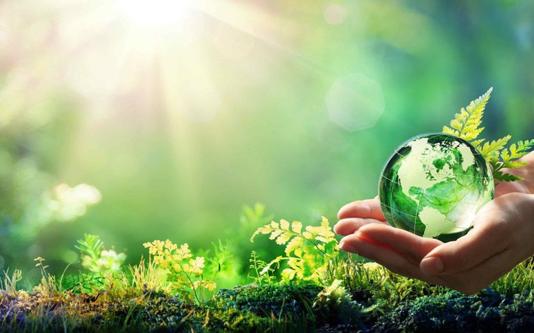 Sửa đổi một số quy định về bảo vệ môi trường