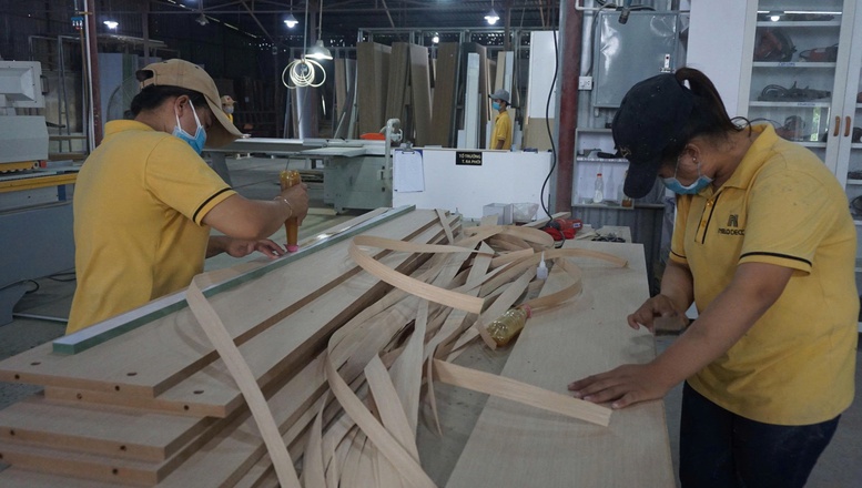 Hơn 280.000 ha rừng được trồng mới trong năm 2025- Ảnh 1. Hơn 280.000 ha rừng được trồng mới trong năm 2025- Ảnh 1.