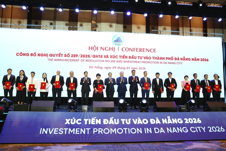 Đà Nẵng phải chủ động đón đầu các làn sóng đầu tư mới- Ảnh 3.