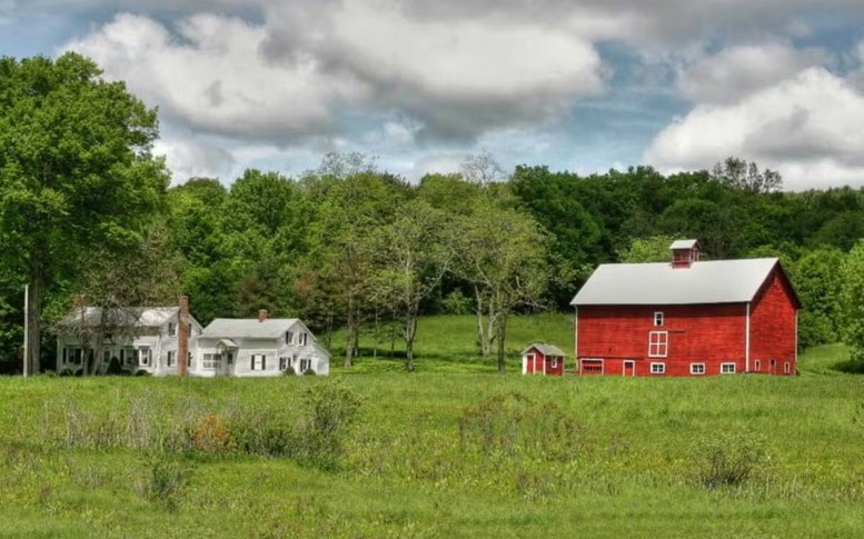 Đất sử dụng sai mục đích phải đăng ký biến động