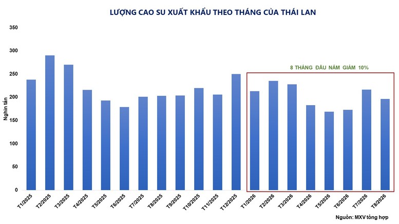 THỊ TRƯỜNG HÀNG HÓA: Giá cao su lập đỉnh 13 năm- Ảnh 3.