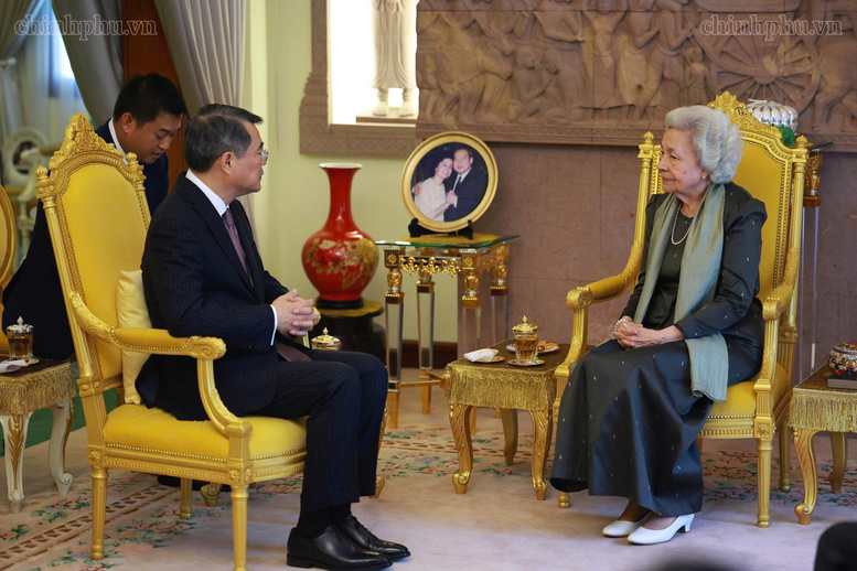 Thủ tướng Lê Minh Hưng chào Quốc vương Norodom Sihamoni và Hoàng Thái hậu Norodom Monineath Sihanouk- Ảnh 4.