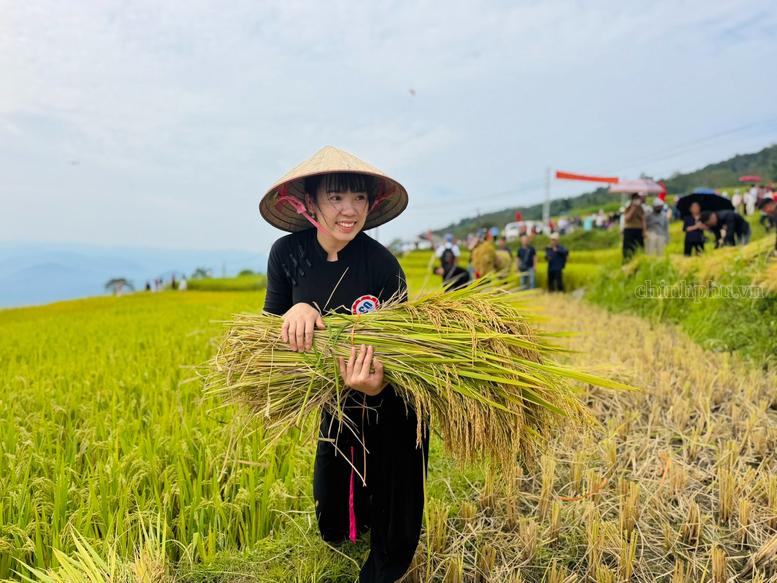 Mùa vàng gọi khách, Hồng Thái tìm hướng phát triển du lịch bốn mùa- Ảnh 5.
