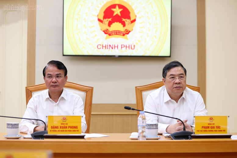 Thủ tướng: Cung ứng đủ điện là điều kiện tiên quyết cho các mục tiêu phát triển- Ảnh 3.