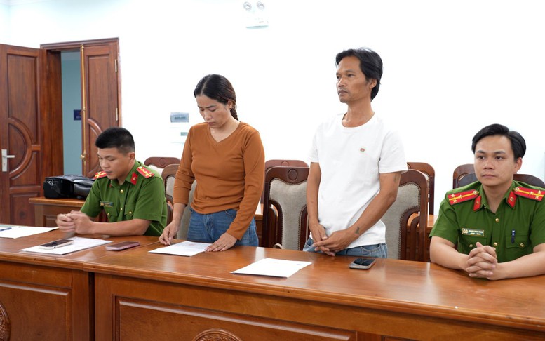Khởi tố chủ kênh 'Già làng Tây Nguyên' xâm phạm quyền sở hữu công nghiệp sâm Ngọc Linh
