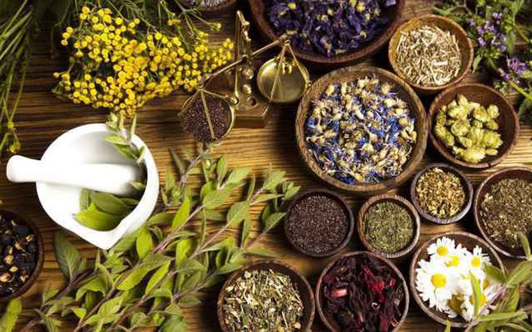 Chỉ đạo, điều hành của Chính phủ, Thủ tướng Chính phủ ngày 13/10/2026 (2)