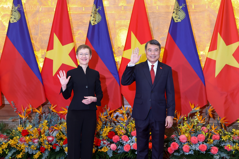 Thủ tướng Lê Minh Hưng chủ trì lễ đón chính thức Thủ tướng Liechtenstein- Ảnh 6.