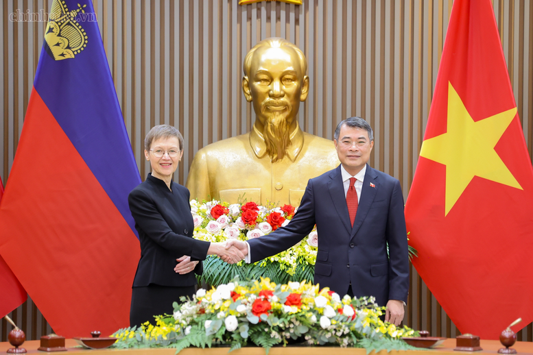 Thủ tướng Lê Minh Hưng hội đàm với Thủ tướng Liechtenstein- Ảnh 1.