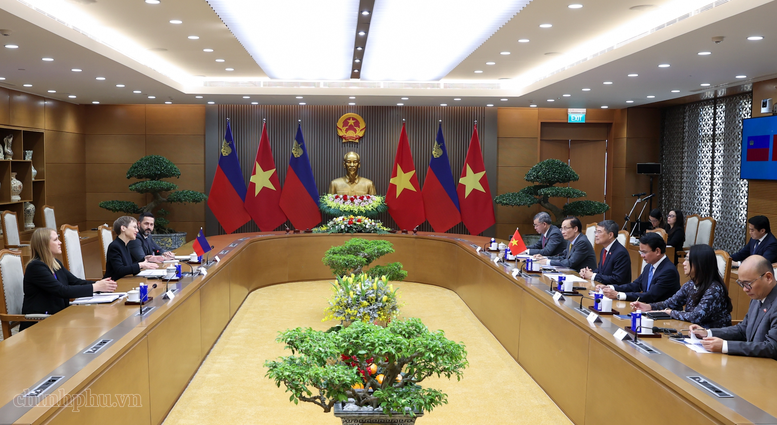 Thủ tướng Lê Minh Hưng hội đàm với Thủ tướng Liechtenstein- Ảnh 2.