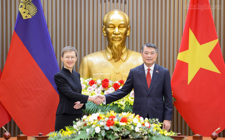 Thủ tướng Lê Minh Hưng hội đàm với Thủ tướng Liechtenstein
