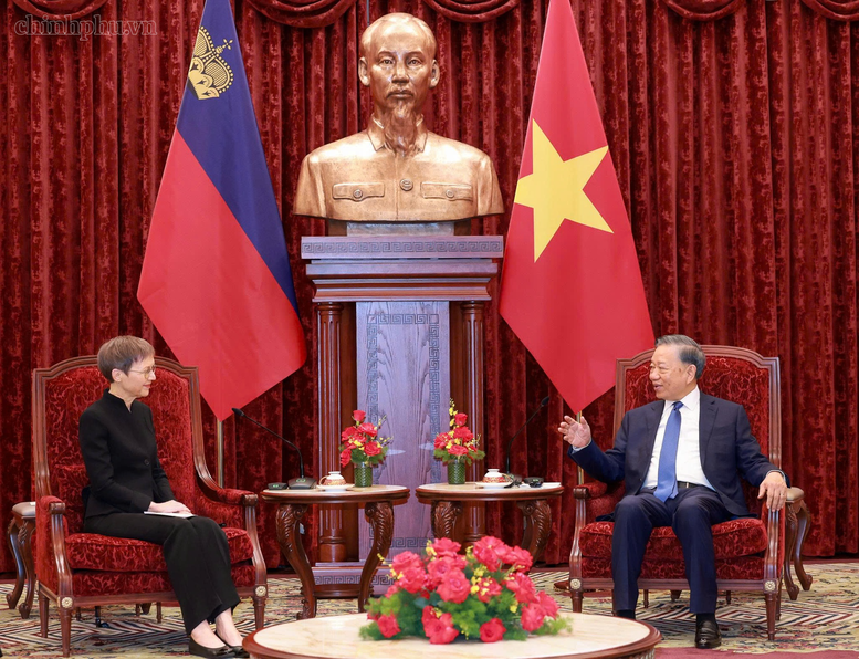 Tổng Bí thư, Chủ tịch nước Tô Lâm tiếp Thủ tướng Liechtenstein- Ảnh 3.