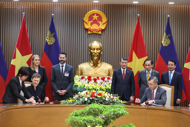 Thủ tướng Lê Minh Hưng hội đàm với Thủ tướng Liechtenstein- Ảnh 6.