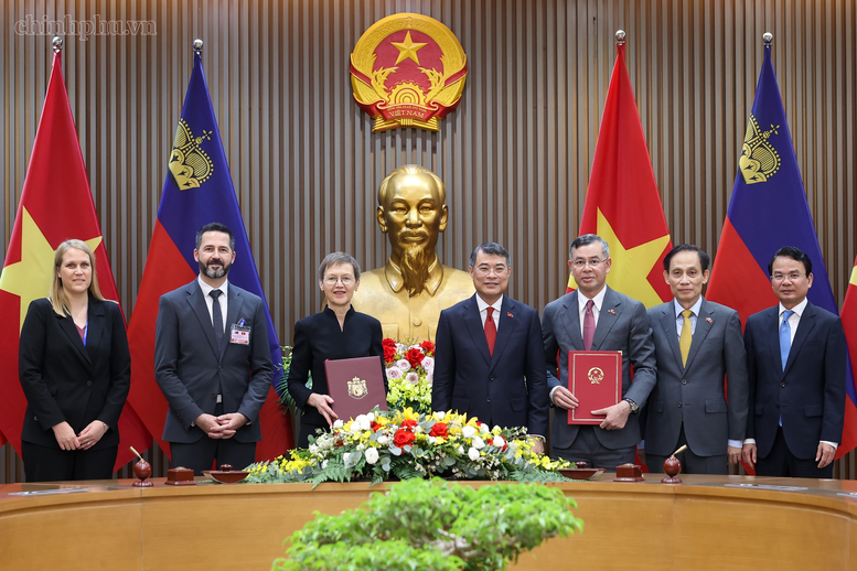Thủ tướng Lê Minh Hưng hội đàm với Thủ tướng Liechtenstein- Ảnh 7.
