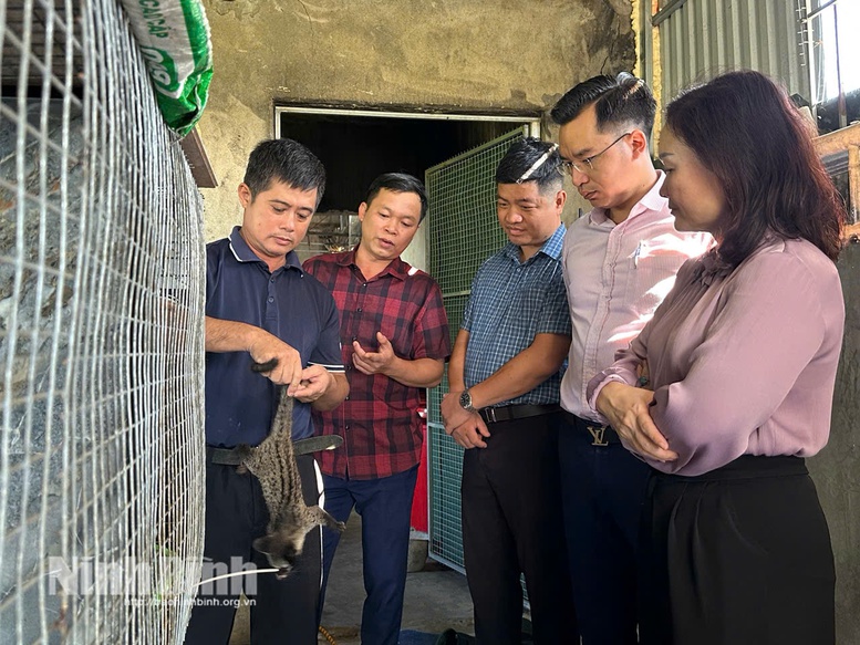 Vốn tín dụng chính sách song hành cùng Đề án phát triển kinh tế ở cơ sở- Ảnh 1.