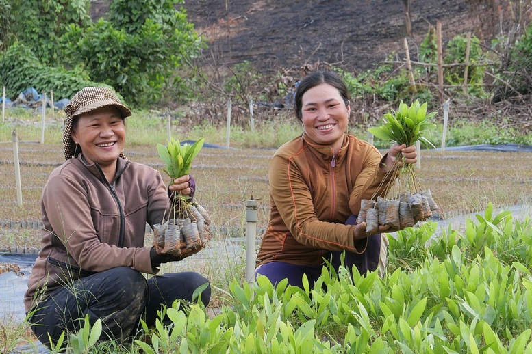 Công bố bản đồ ranh giới rừng: Cơ sở dữ liệu hỗ trợ doanh nghiệp đáp ứng quy định EUDR- Ảnh 1.