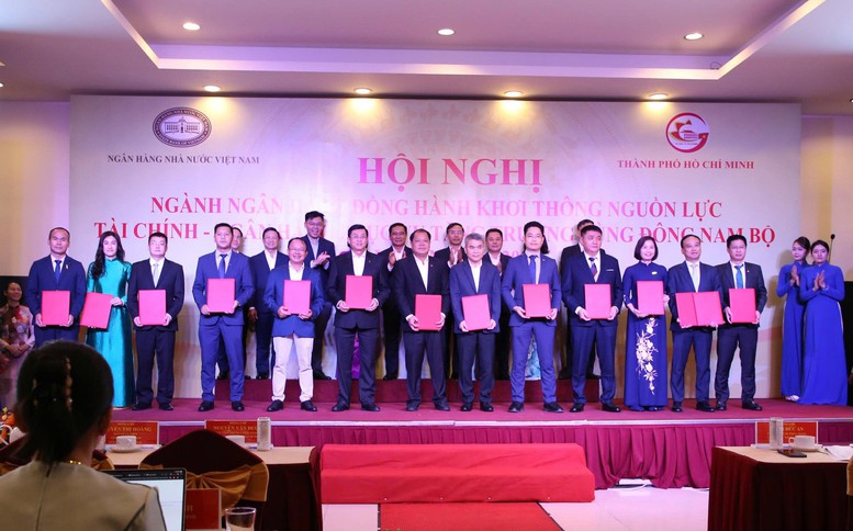 Khơi thông nguồn lực tài chính phục vụ tăng trưởng vùng Đông Nam Bộ- Ảnh 3.