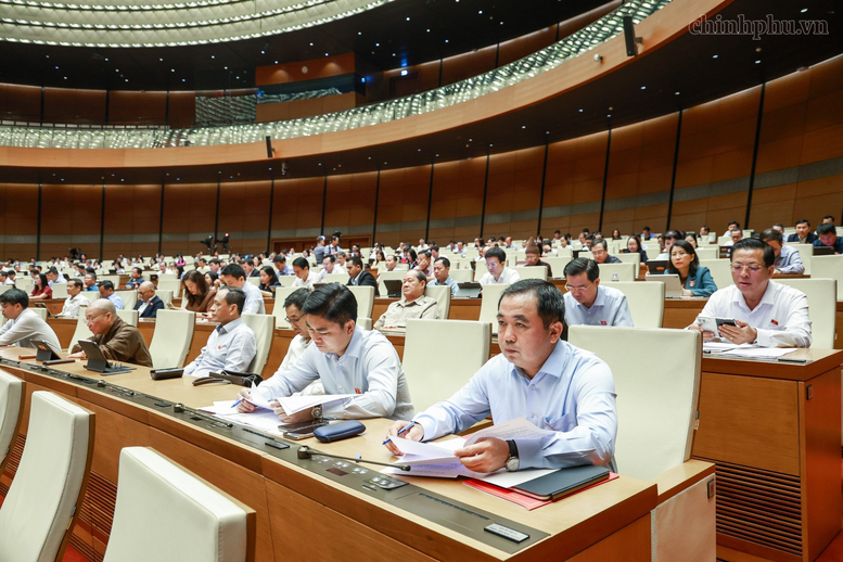 Sửa Luật Đo lường: Giảm thủ tục phải đi đôi với bảo vệ người tiêu dùng - Ảnh 3.