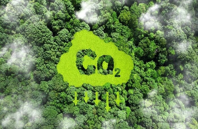 Quy định mới phân cấp thủ tục đăng ký dự án carbon cho địa phương - Ảnh 1.