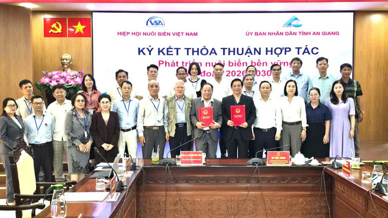 An Giang muốn trở thành trung tâm kinh tế biển mạnh: Bắt đầu từ đâu? - Ảnh 3.