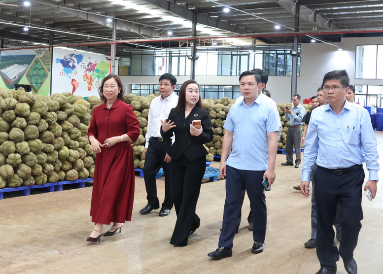 Nông, lâm nghiệp và thủy sản của Đắk Lắk tăng tốc mạnh, tăng trưởng cao nhất cả nước - Ảnh 4.