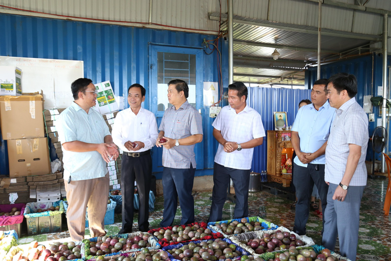 Nông, lâm nghiệp và thủy sản của Đắk Lắk tăng tốc mạnh, tăng trưởng cao nhất cả nước - Ảnh 1.