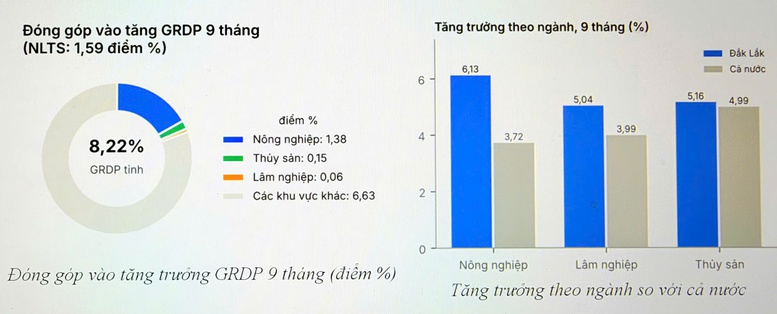 Nông, lâm nghiệp và thủy sản của Đắk Lắk tăng tốc mạnh, tăng trưởng cao nhất cả nước - Ảnh 3.