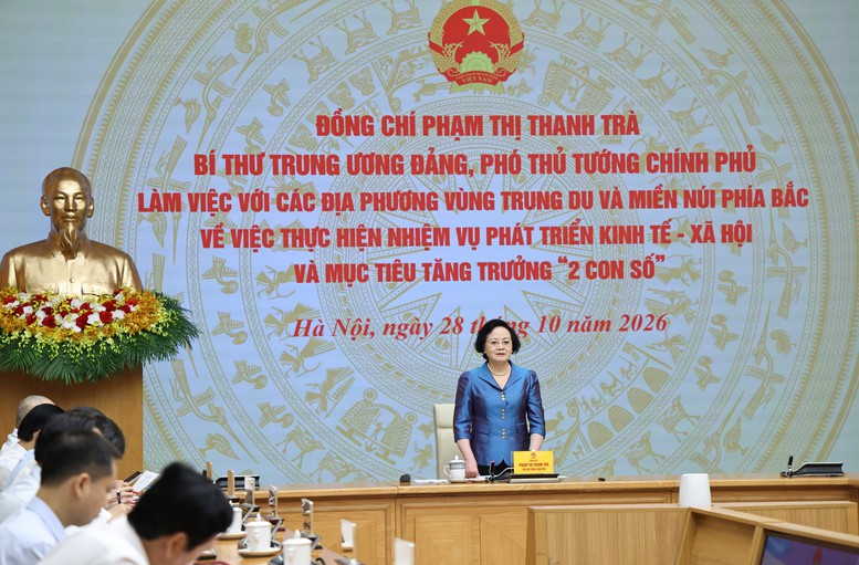 Phó Thủ tướng Phạm Thị Thanh Trà: Kiên định mục tiêu tăng trưởng hai con số, khẩn trương hoàn thiện vị trí việc làm - Ảnh 8.