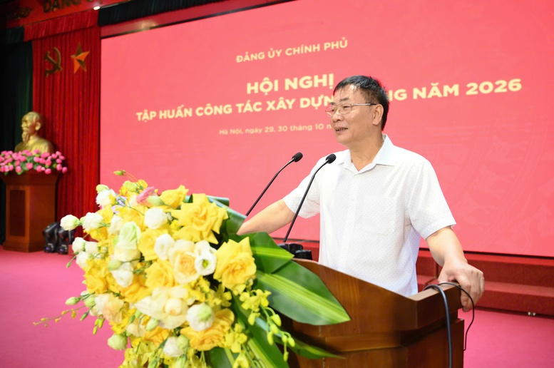 Đảng ủy Chính phủ tập huấn nghiệp vụ công tác xây dựng Đảng năm 2026 - Ảnh 3.