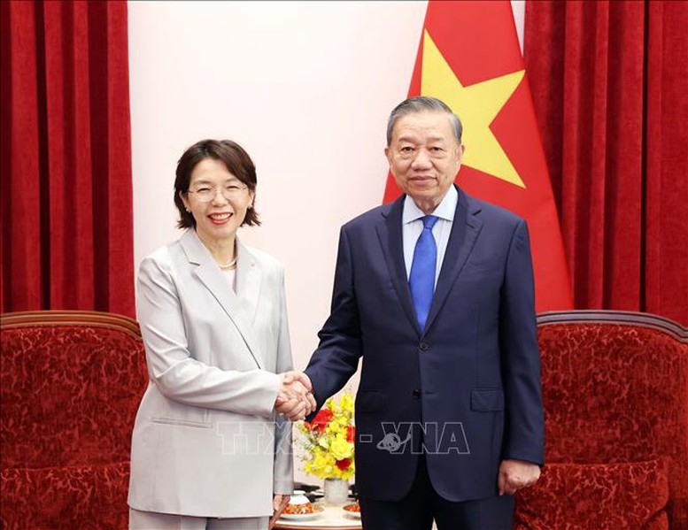 Tổng Bí thư, Chủ tịch nước Tô Lâm tiếp Đại sứ các nước trình Quốc thư- Ảnh 5.