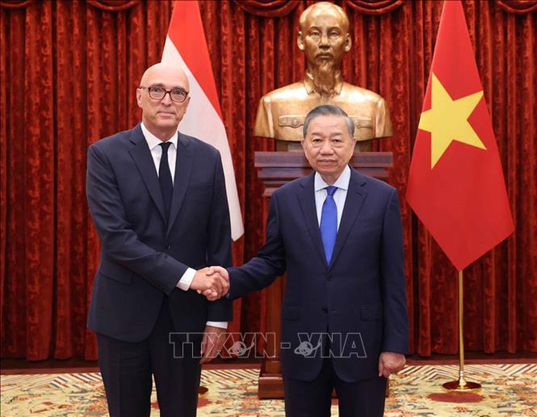 Tổng Bí thư, Chủ tịch nước Tô Lâm tiếp Đại sứ các nước trình Quốc thư- Ảnh 8.