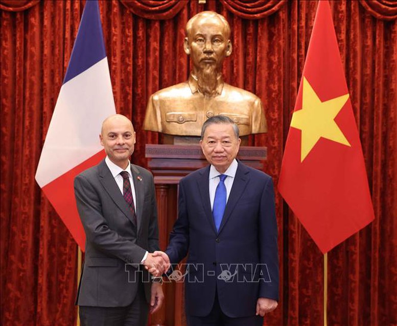 Tổng Bí thư, Chủ tịch nước Tô Lâm tiếp Đại sứ các nước trình Quốc thư- Ảnh 11.