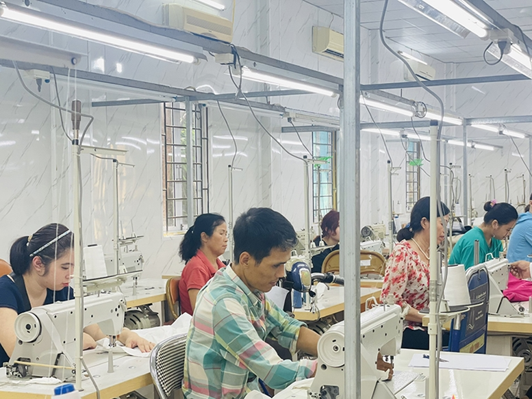 Tăng cường sự lãnh đạo của Đảng đối với công tác người khuyết tật trong tình hình mới - Ảnh 1.