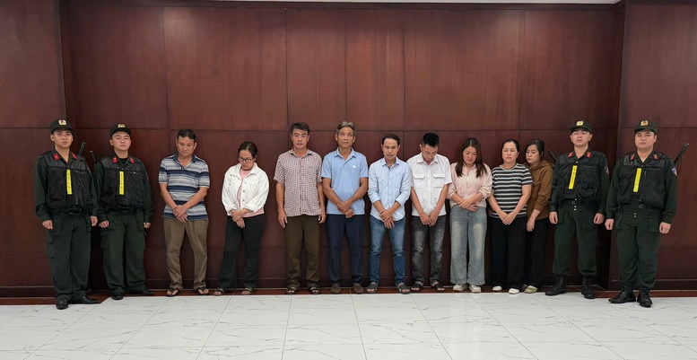 TPHCM: Khởi tố đường dây đưa hơn 10.000 tấn heo sử dụng chất cấm ra thị trường- Ảnh 1.
