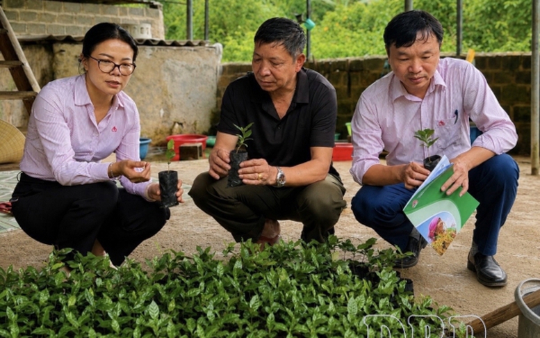 Vốn chính sách tạo đà cho thanh niên lập nghiệp
