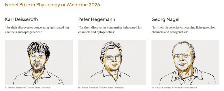 Nobel 2026 mở màn với công nghệ dùng ánh sáng điều khiển tế bào thần kinh- Ảnh 1.