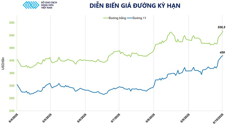 THỊ TRƯỜNG HÀNG HÓA: Đường lập đỉnh 19 tháng- Ảnh 2.