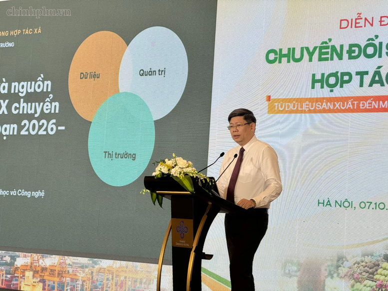 Chuyển đổi số trong Hợp tác xã: Từ dữ liệu sản xuất đến mở rộng thị trường- Ảnh 2.