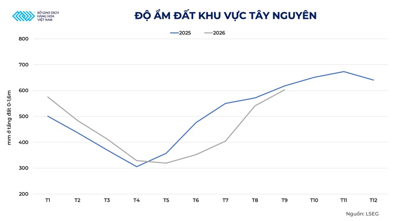 Khoảng lặng trước bước chuyển mình lịch sử của ngành cà phê toàn cầu- Ảnh 3.