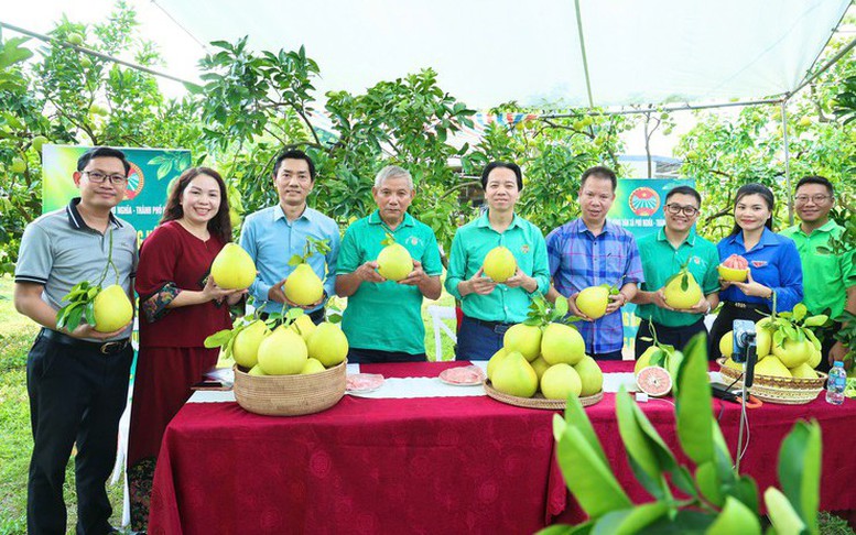 Phát huy nội lực, xây dựng nông thôn mới theo hướng hiện đại, bền vững