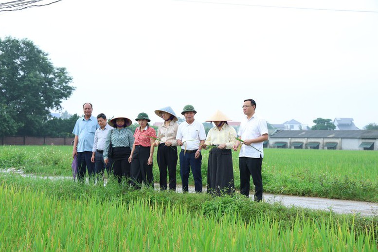 Phát huy nội lực, xây dựng nông thôn mới theo hướng hiện đại, bền vững- Ảnh 1.